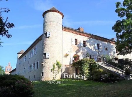 BEAU CHATEAU RENOVE – DEPENDANCES ET PISCINE - 8059TS