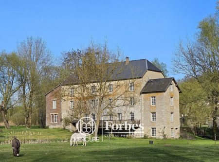 Between Reims and Soissons – Former mill and outbuildings in a 4.2ha park - 80621P2